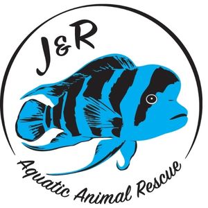 J and R Aquatic Animal Rescue logo  blue fish with black stripes